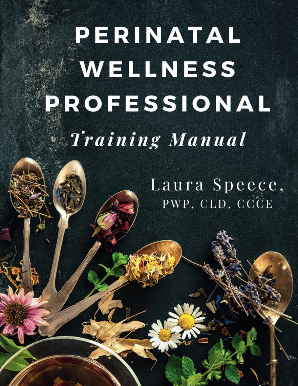 Perinatal Wellness Professional: Training Manual      Paperback – December 14, 2024