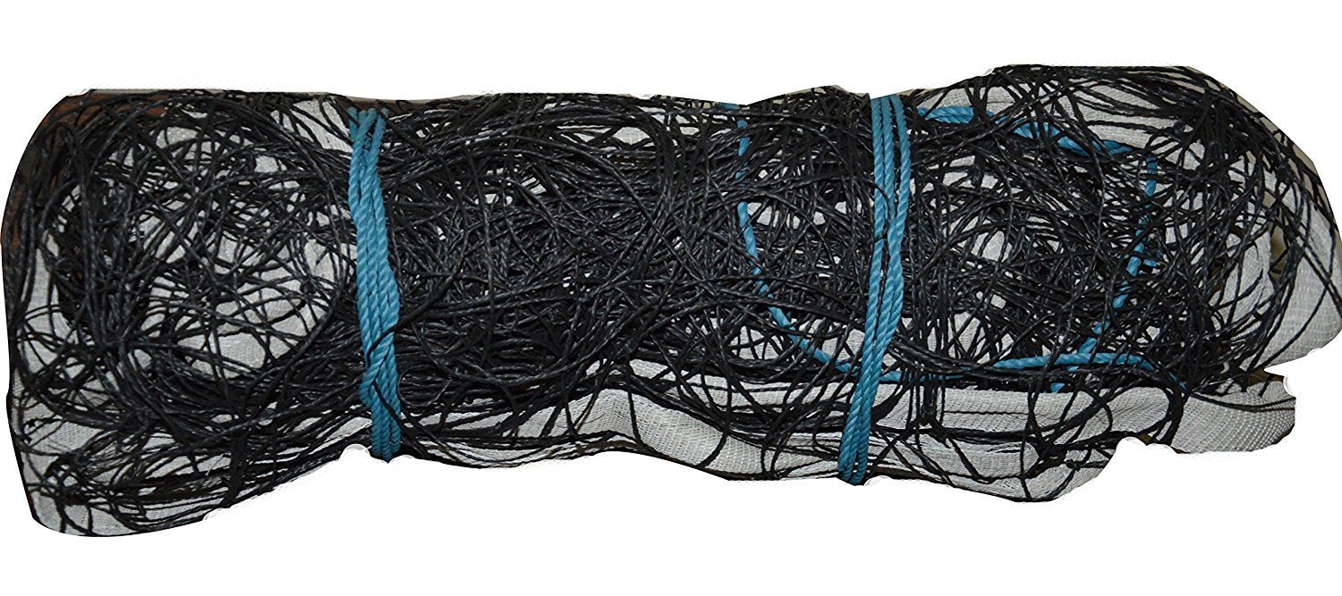 BODY MAXX Nylon Volleyball Net (BMVOLLYBALLNETNYLON) (B07BHMBFK5) Amazon Price History, Amazon Price Tracker