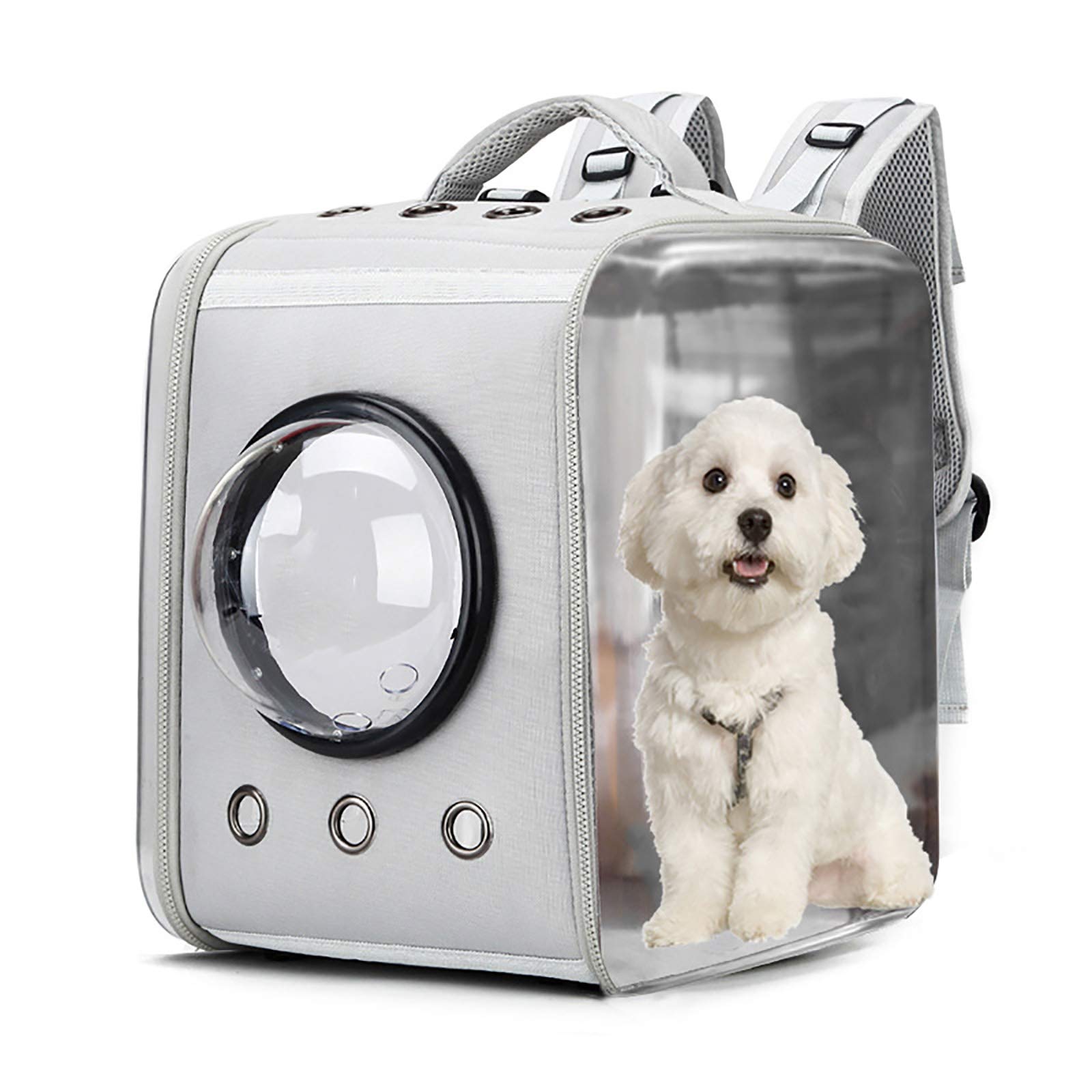 Sac de transport pour chat pliant et transparent avec hublot panoramique aéré