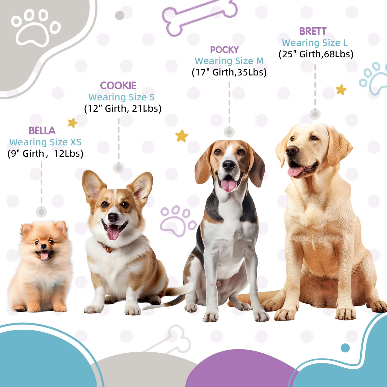 PawHuggies Small Dog Harness, Adjustable No-Pull, Tri-Color, Step-in Design, Heavy Duty, Easy Walk, Size 4/5