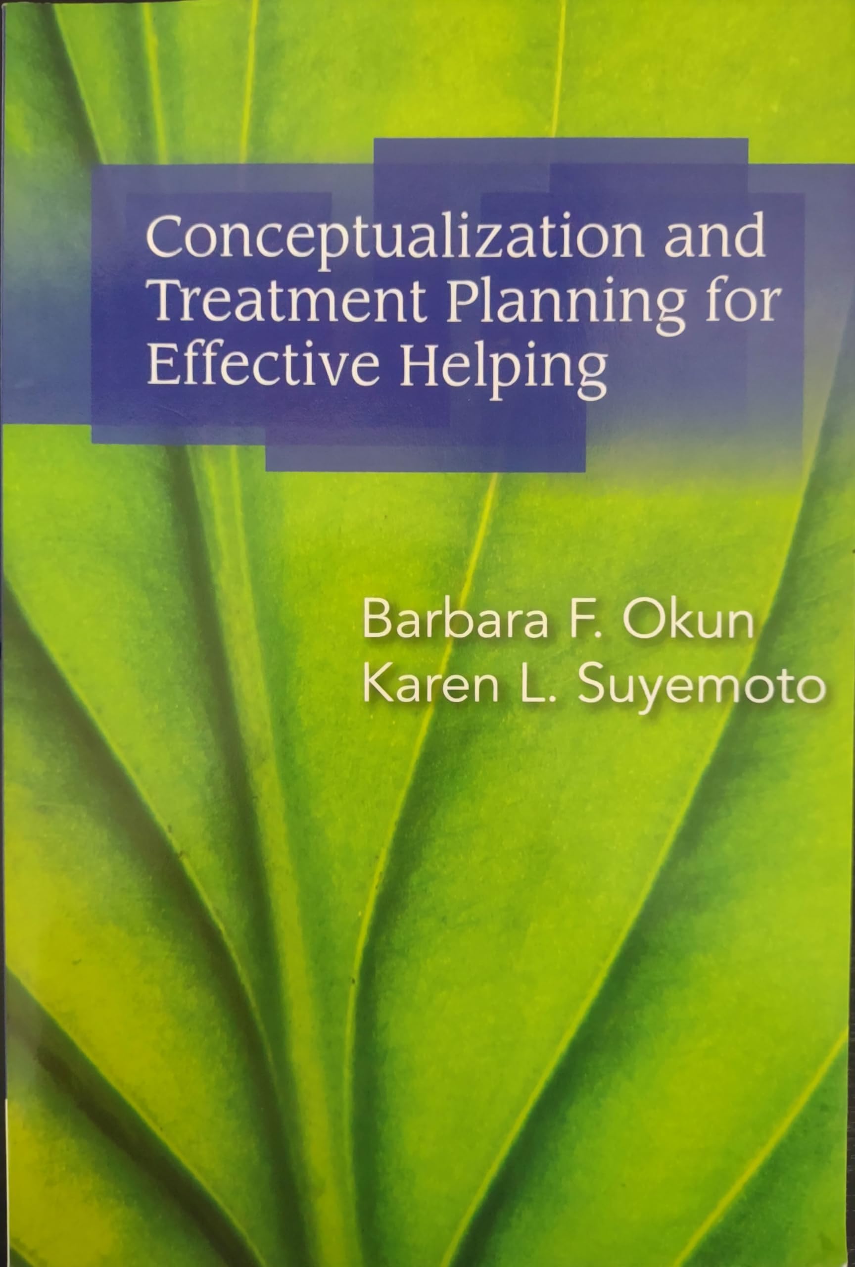 Buy Conceptualization and Treatment Planning for Effective Helping — BookShops.in