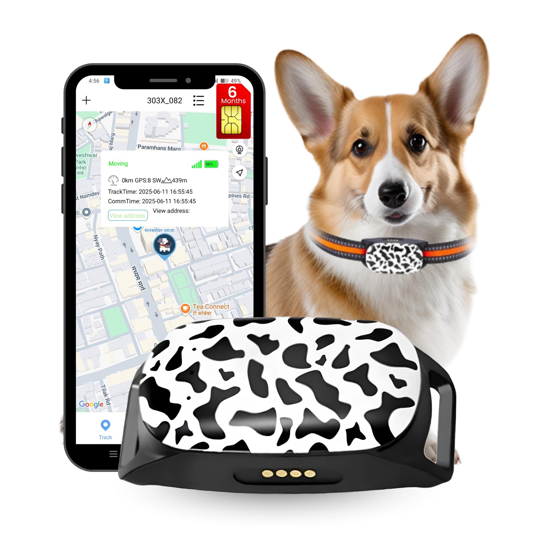 FETACA® 4G G61 Waterproof Pet GPS Tracker Collar for Dogs & Cats Real-Time Live Tracking, Geo-Fence, Low Battery Alerts, Durable IPX7 Dog Tracker (Device with Free 6 Months 4G Data & App)-image-41