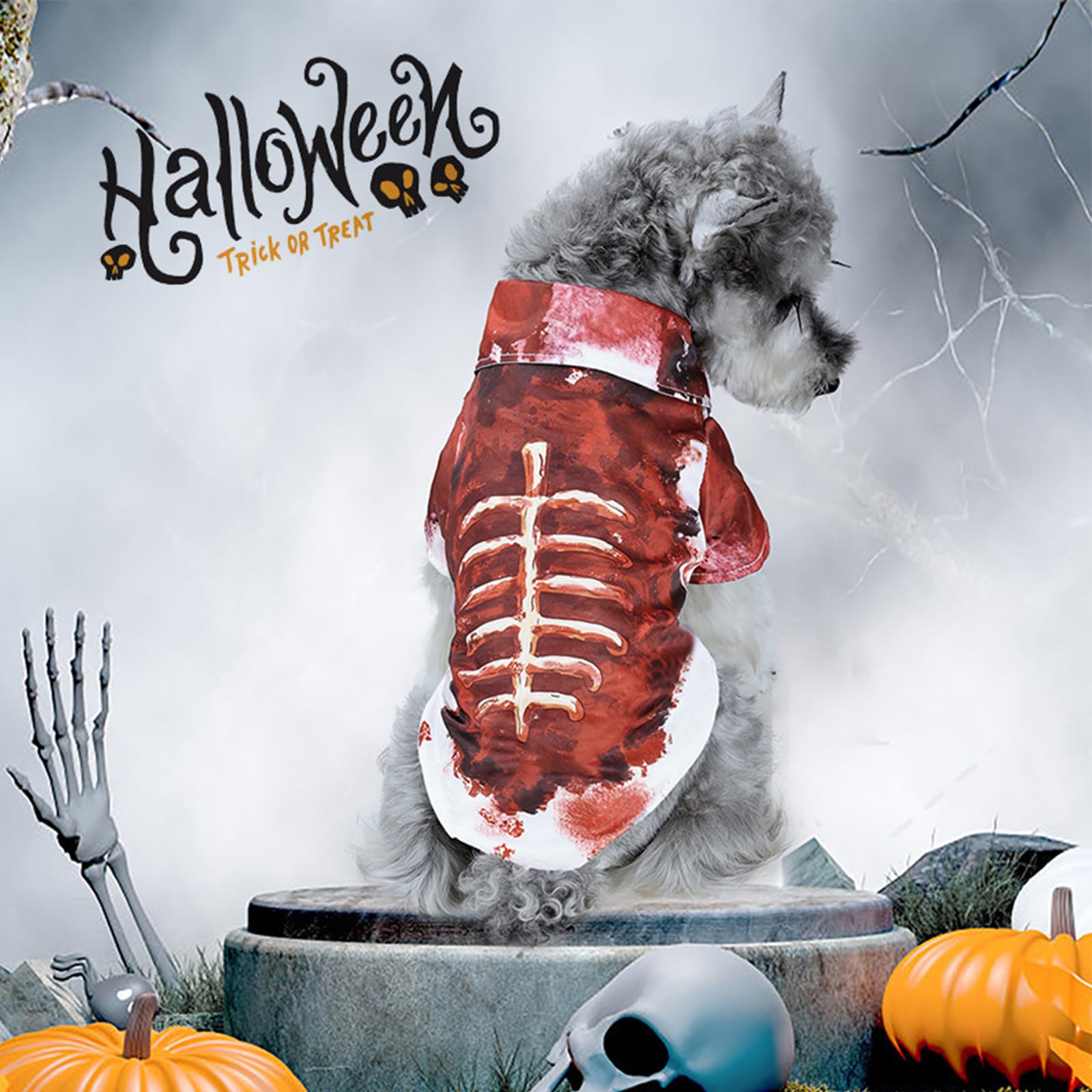 Hundekostüm Skelett - Gruselig Für Halloween & Fasching