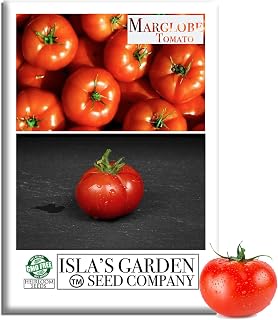 Marglobe Tomato Seeds (Solanum lycopersicum) – 500+ Non-GMO & Heirloom Seeds by Isla’s Garden Seeds, Classic Red Variety with Rich Flavor & High Yields, Ideal for Slicing, Canning & Sauces, Gift Idea