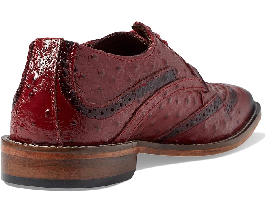 Stacy Adams Gennaro Wing Tip Oxford - Back View