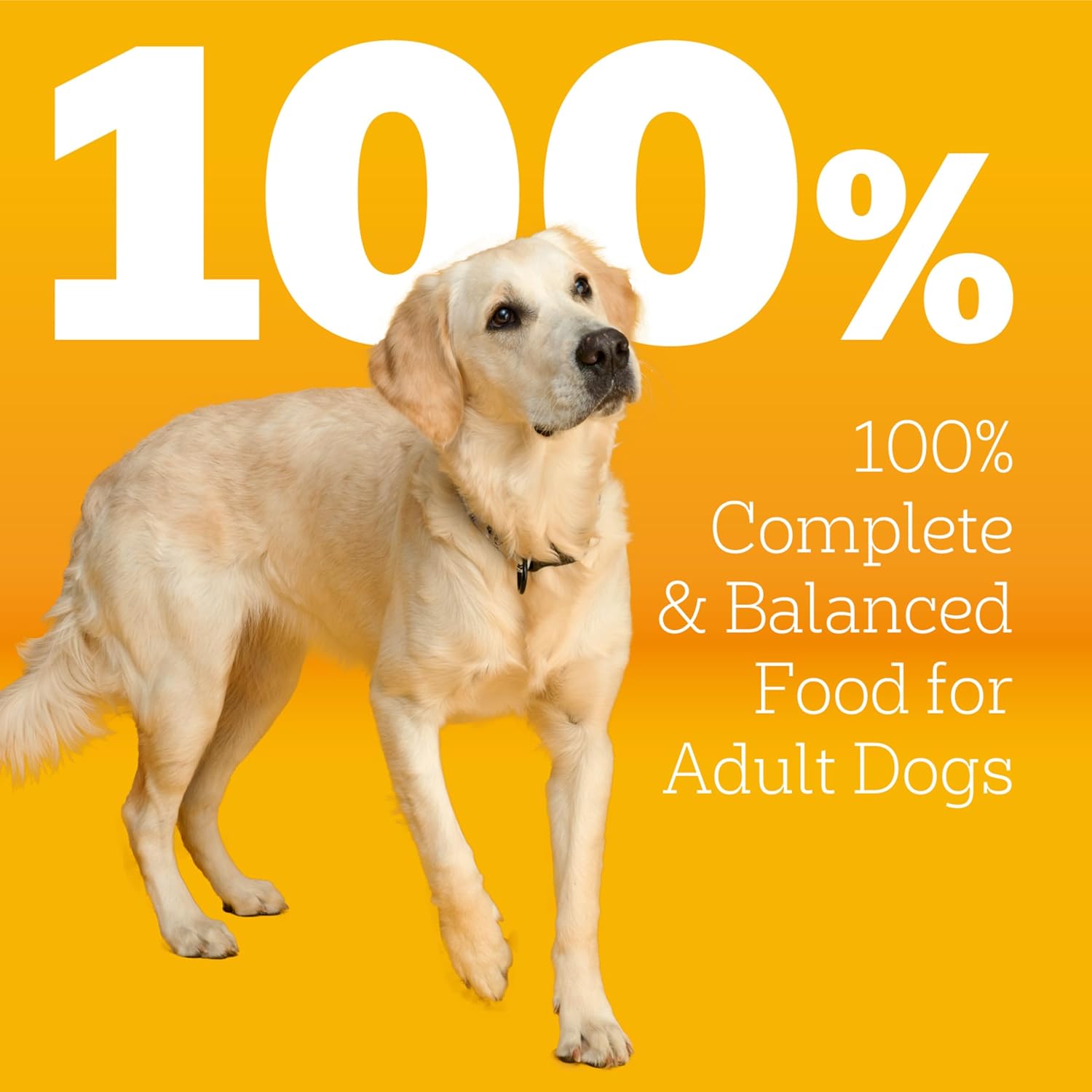 Pedigree Dry Dog Food with MarroBites Pieces, Grilled Steak & Vegetable Flavor for Adult Dogs, 14 lb. Bag