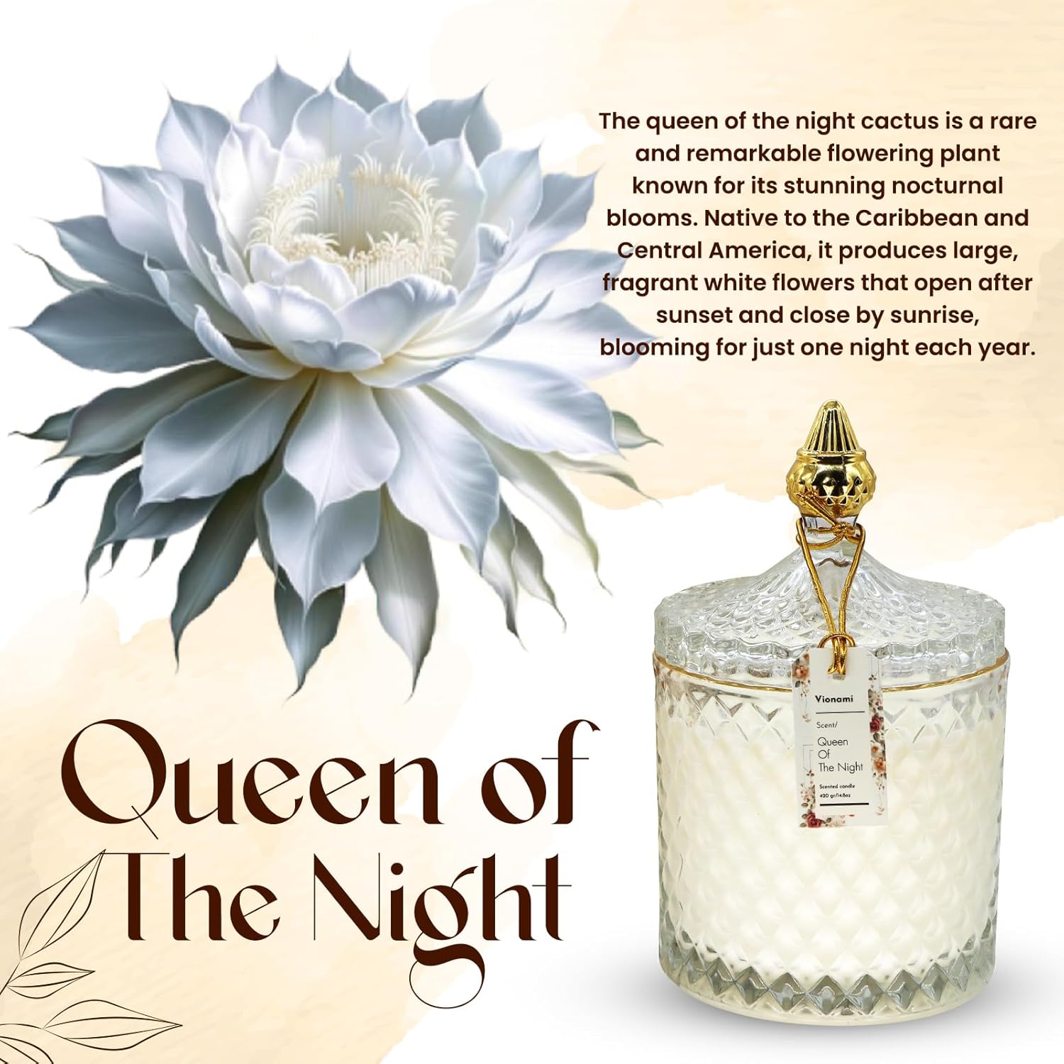 VIONAMI Luxury Scented Candle Gift – Queen of The Night Rare Flower Fragrance in Elegant Glass Jar, Decorative Soy Candles Gifts for Women, Long-Lasting 80 Hr, 14.8 oz, Luxury Candles for Women - Image 2