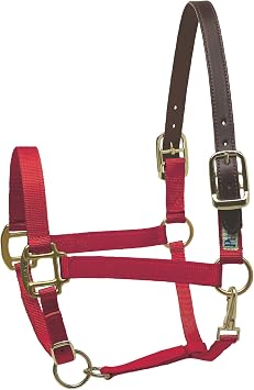 Perris Safety Halter