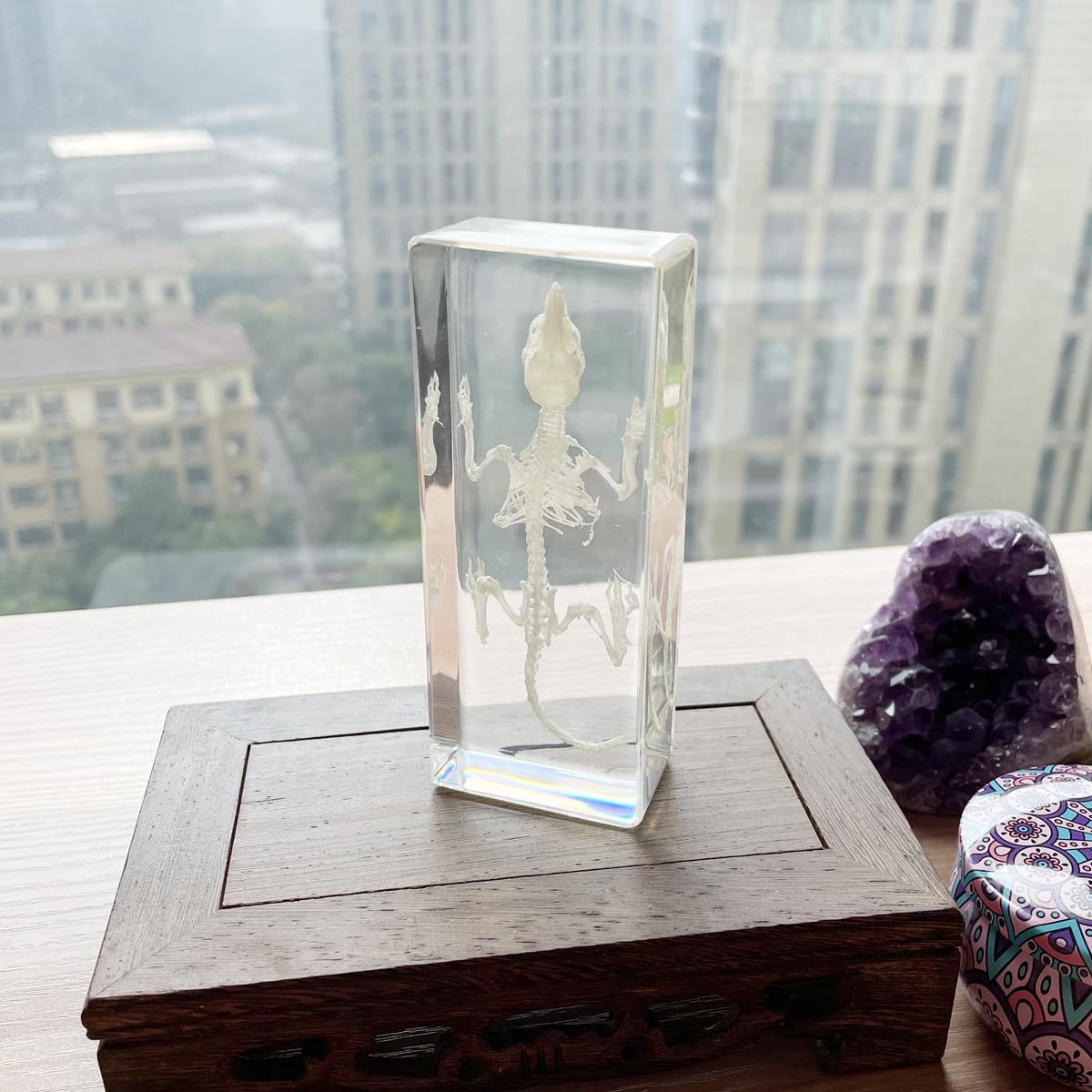 Real Mouse Skeleton Specimens in Resin Paperweight Crafts, Animal Taxidermy Collection for Science Education & Desk Ornament (Mouse Skeleton)