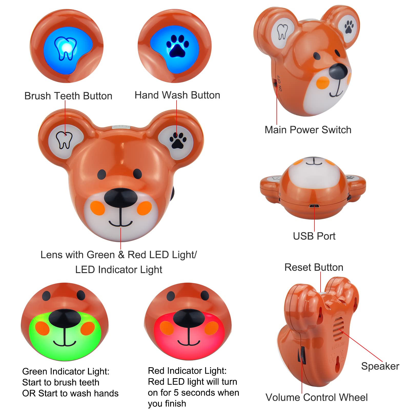 HONWELL Temporizador de Cepillado de Dientes, Temporizador Recargable, Temporizador de Lavado de Manos y Cepillo de Dientes para niños, oso
