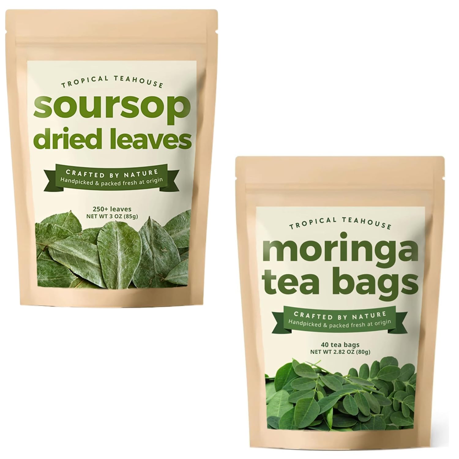 TROPICAL TEAHOUSE 250+ Soursop Dried Leaves + 40 Pure Moringa Tea Bags