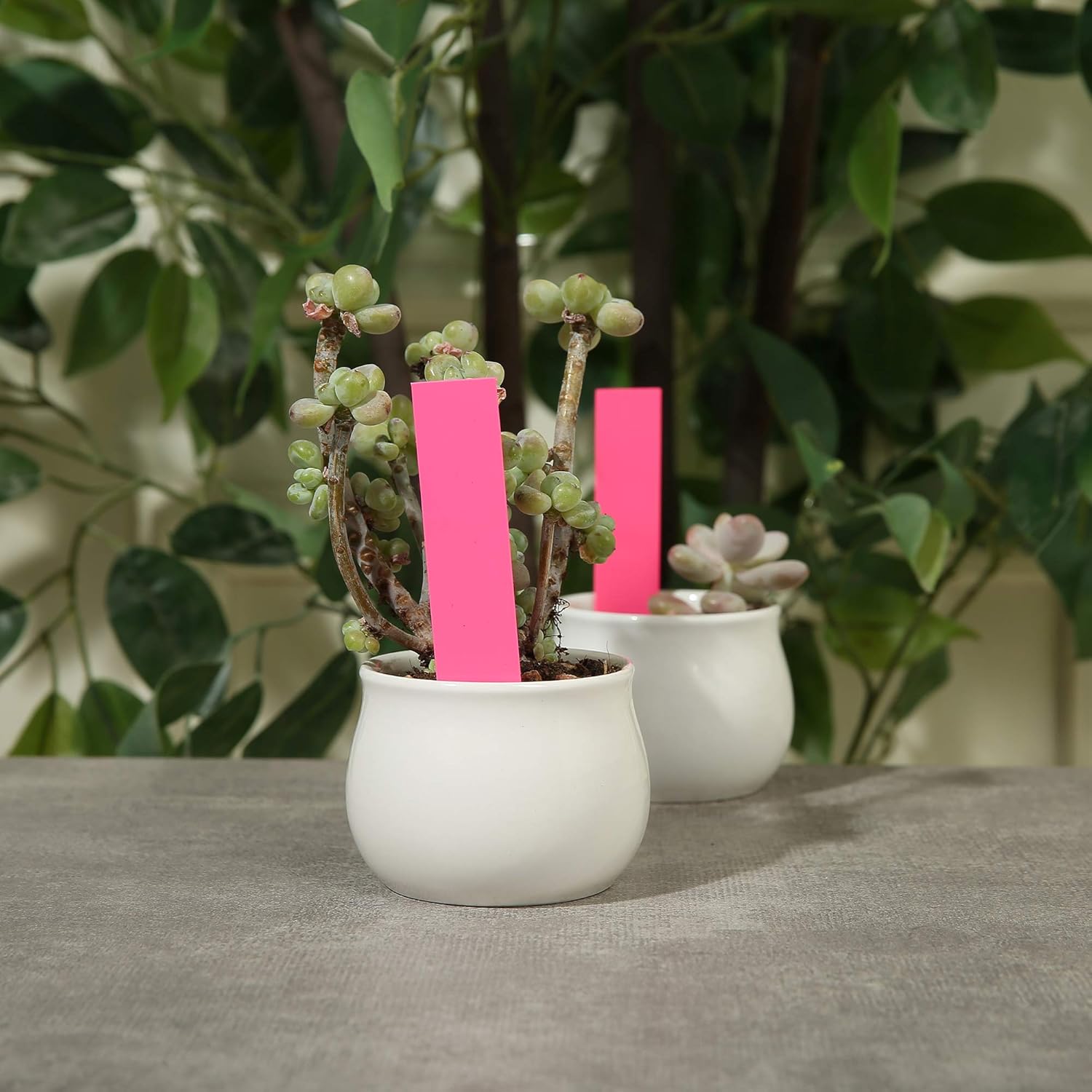 1000 Pcs 4 Inch Garden Plant Labels, Plastic Nursery Tags Waterproof Pot Seed Markers, Pink - Image 7