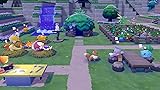Nintendo Switch 2 Pokemon Pokopia - 6