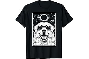 Solar Eclipse Card 2024 Totality Tarot Card Great Pyrenees PYR