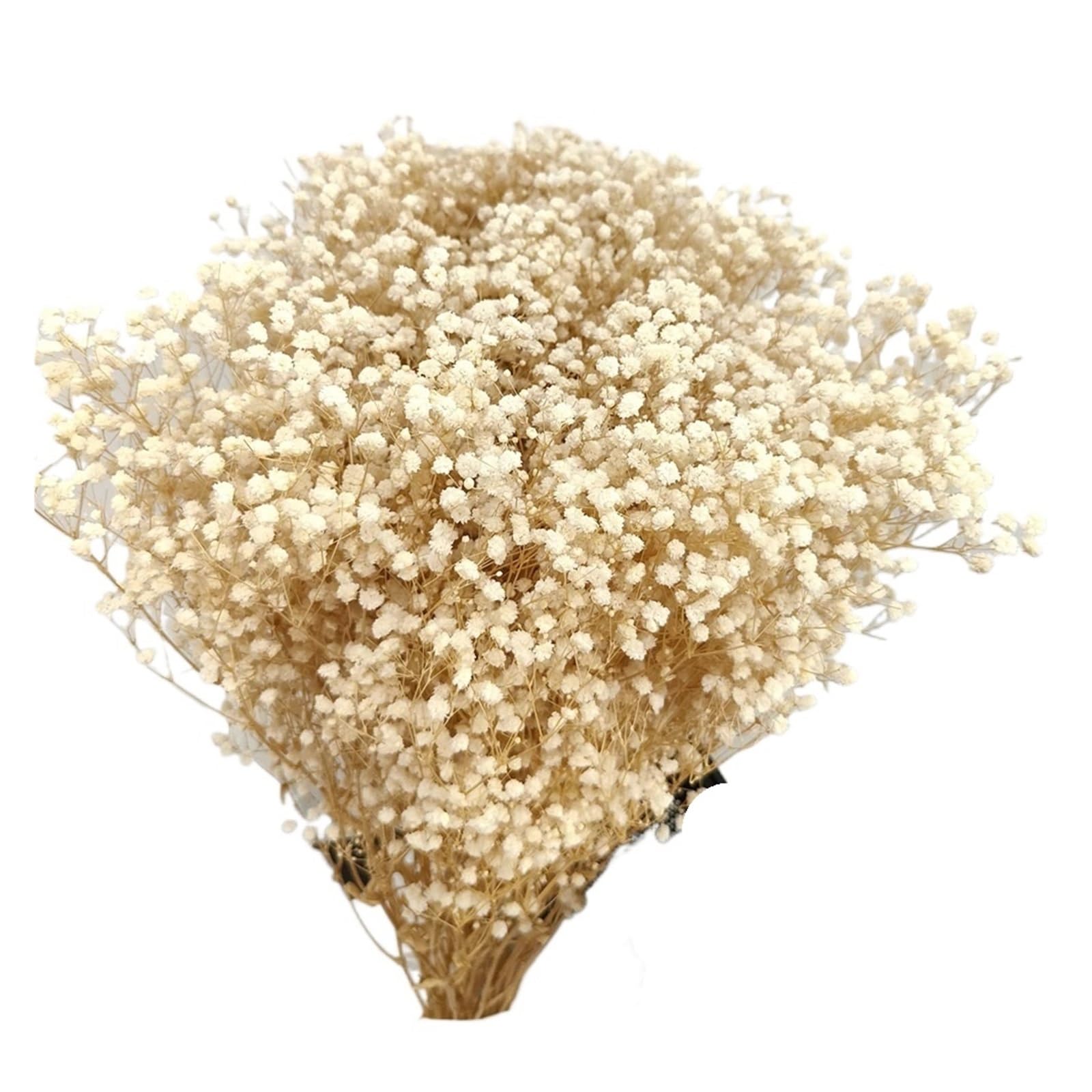 WJIAYAO dried gypsophila flowers Dried Flowers Gypsophila Baby Breath Bouquet Gypsophile Wedding Party Decoration Home Photo Decor(Beige,40g)