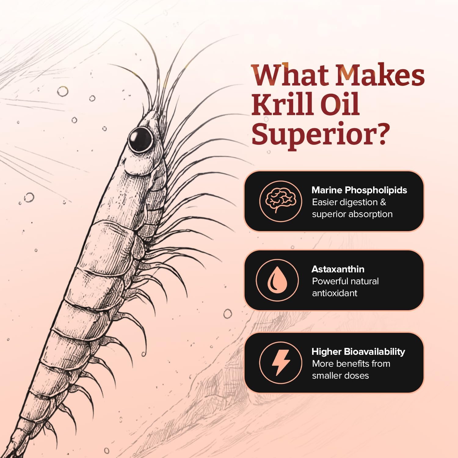 Ultra Pure Superba Krill Oil 500mg x 120 Capsules - Sourced in The Unpolluted Waters of Antarctic Providing a Rich Supply of Astaxanthin, Omega 3 and Vitamin D