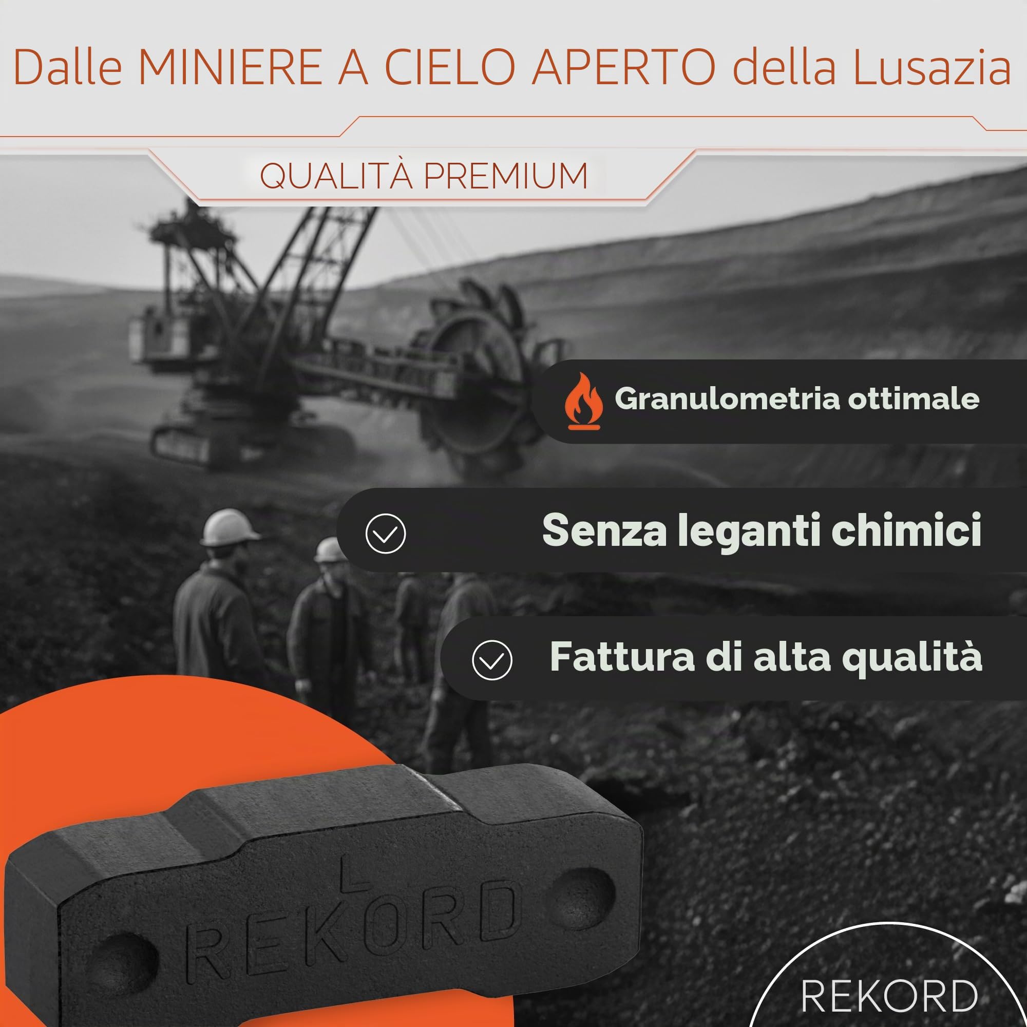 Bricchette di carbone di lignite per camino Rekord, 1 scatola da 25 kg