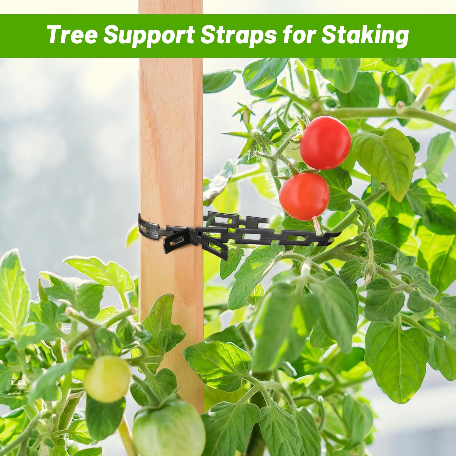 Corbata de plástico para árbol con bloqueo de cadena, correas de soporte ajustables de 1,27 cm de ancho para estacar cables flexibles reutilizables para plantas y árboles inclinados, accesorios