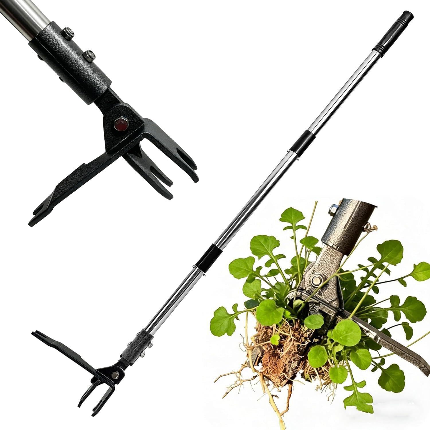 Weed Puller Tool Stand Up Hand Weeder Tool with Adjustable Long Handle, Weed Remover with Steel Head, Remove Weeds Root Easily without Bending, Pulling or Kneeling for Lawn Yard Garden (4 CLAWS)