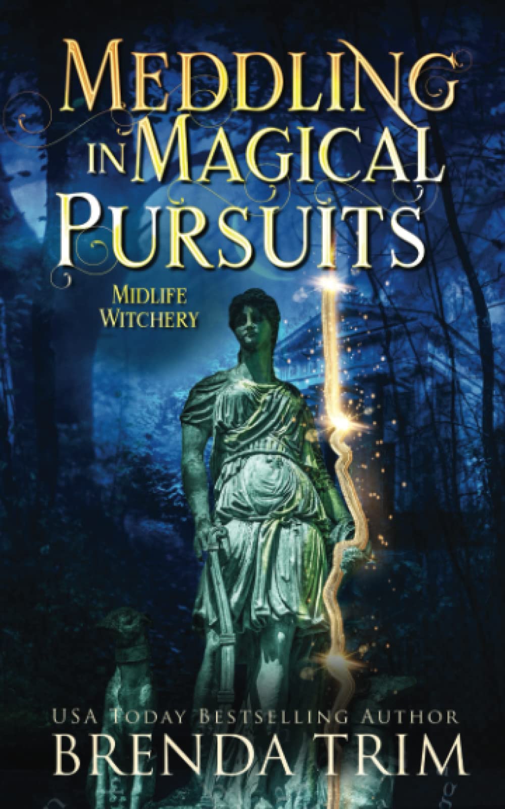 Cover of Meddling in Magical Pursuits