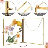 Vista 3 de Treela Marcos de vidrio con flores prensadas de 6 x 6 pulgadas, marco de fotos de doble vidrio para colgar, marcos flotantes cuadrados transparentes