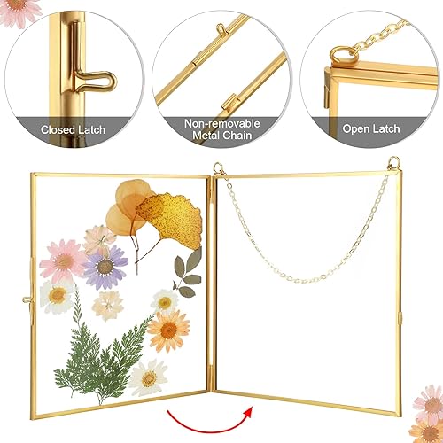 Miniatura 3 de Treela Marcos de vidrio con flores prensadas de 6 x 6 pulgadas, marco de fotos de doble vidrio para colgar, marcos flotantes cuadrados transparentes