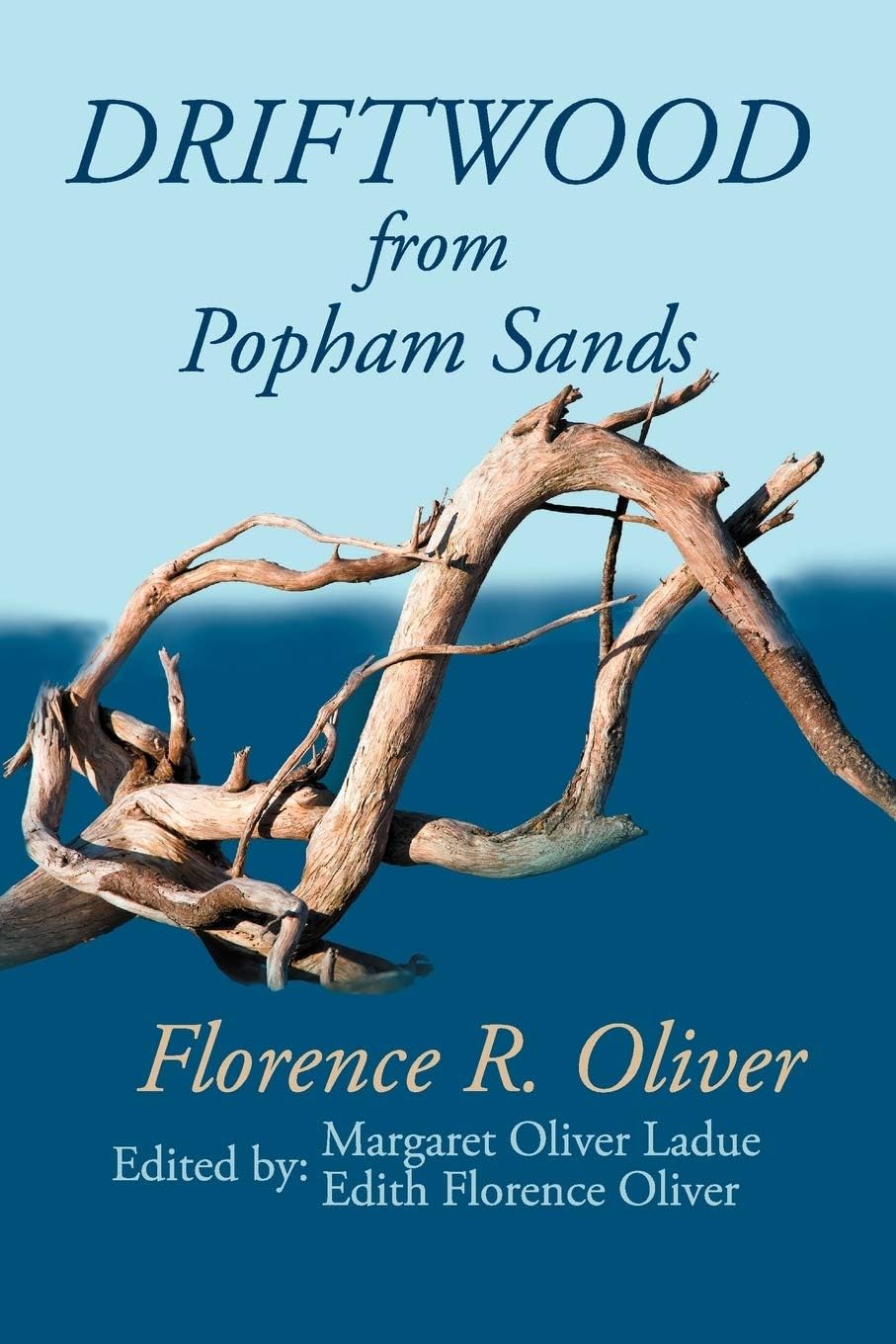 Driftwood from Popham Sands