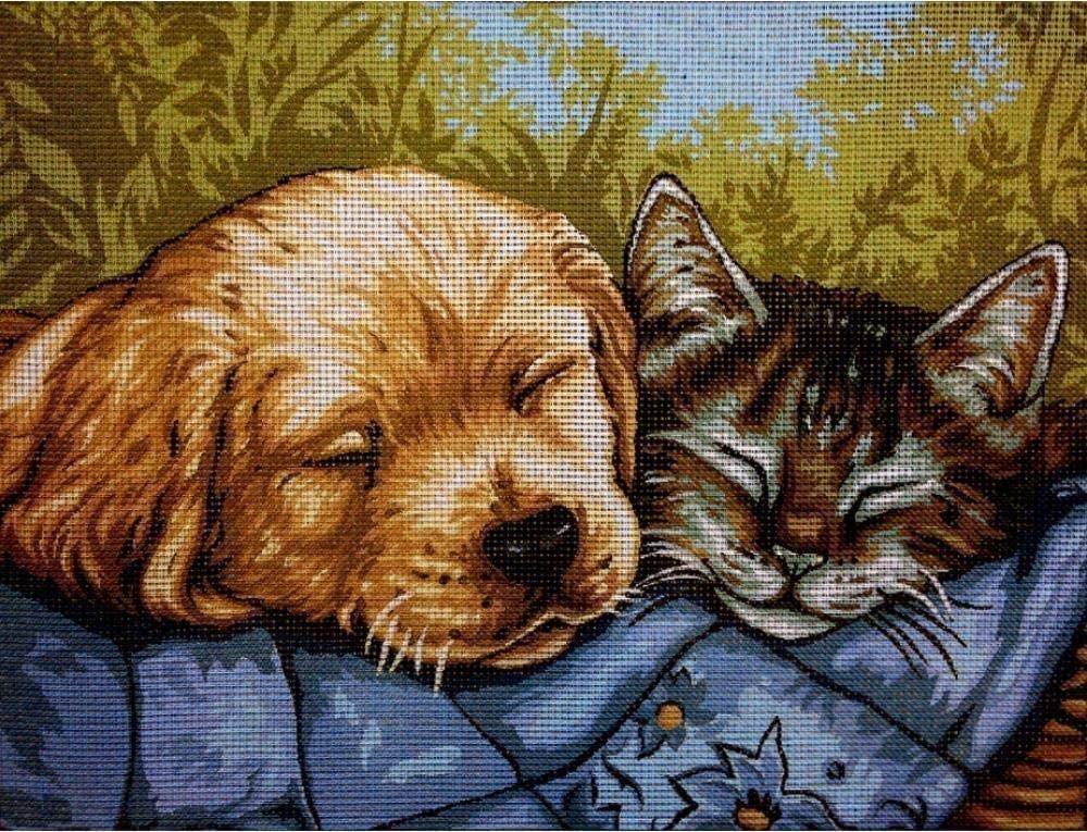 Kit demi point de croix toile imprimée HD broderie facile sans erreur