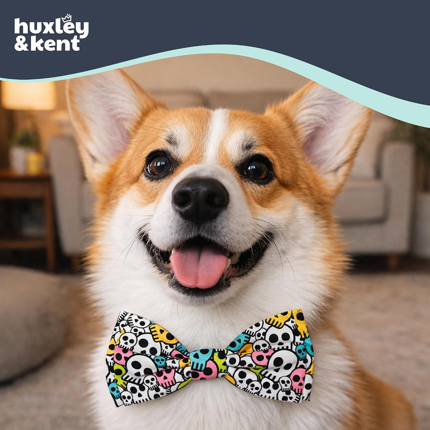 Huxley & Kent Pet Bow Tie for Dogs & Cats - Halloween Adjustable Hook & Loop Collar Accessory - Cute & Comfortable for Holidays & Celebrations - Cotton Candy Skulls, Sm/Md image 4