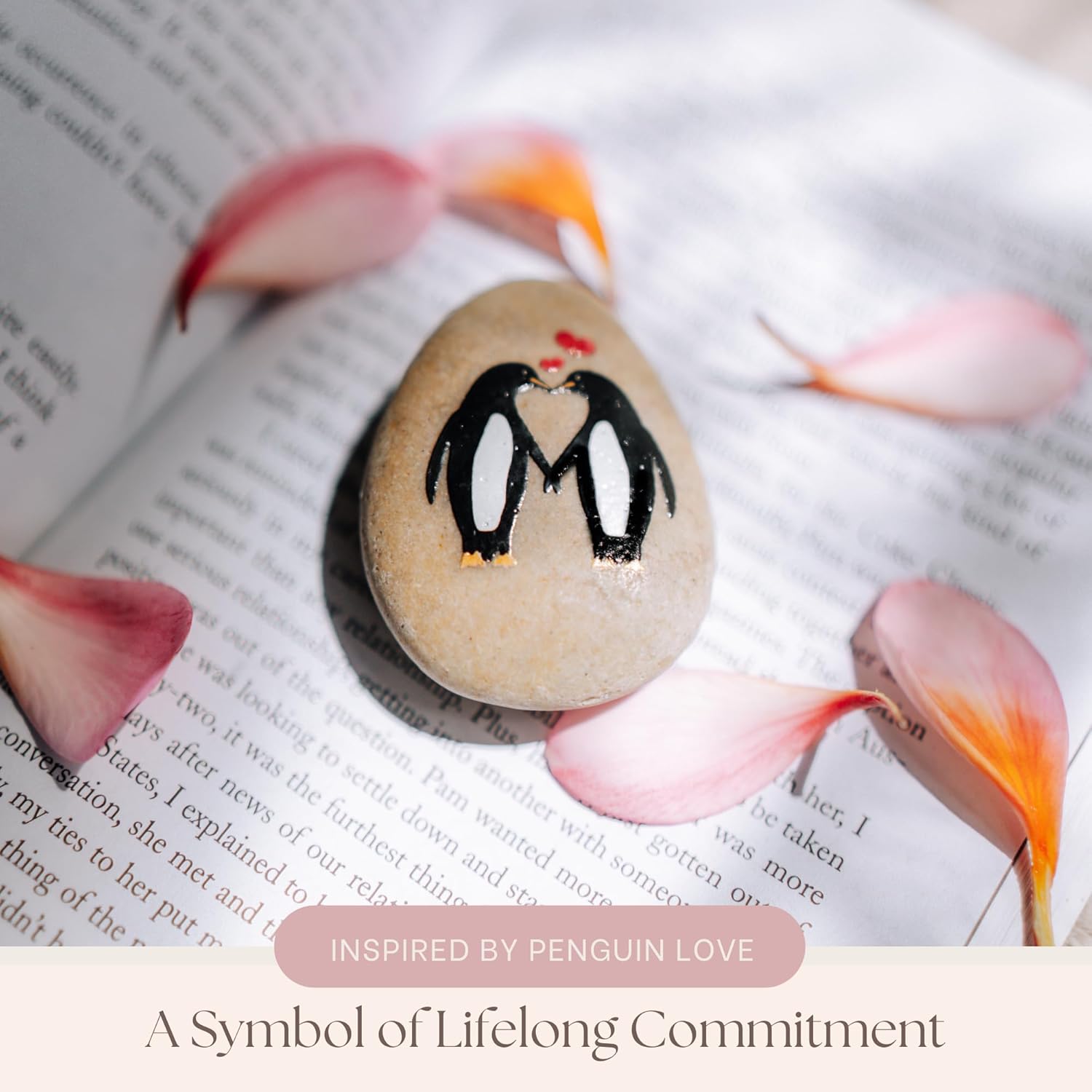 Valentines Day Gifts for Her - Will You Be My Penguin Pebble - Cute and Sentimental Gift for Boyfriend, Girlfriend, or Fiance - I Love You -Will You Marry Me Proposal - Anniversary Wedding Gift - Image 5