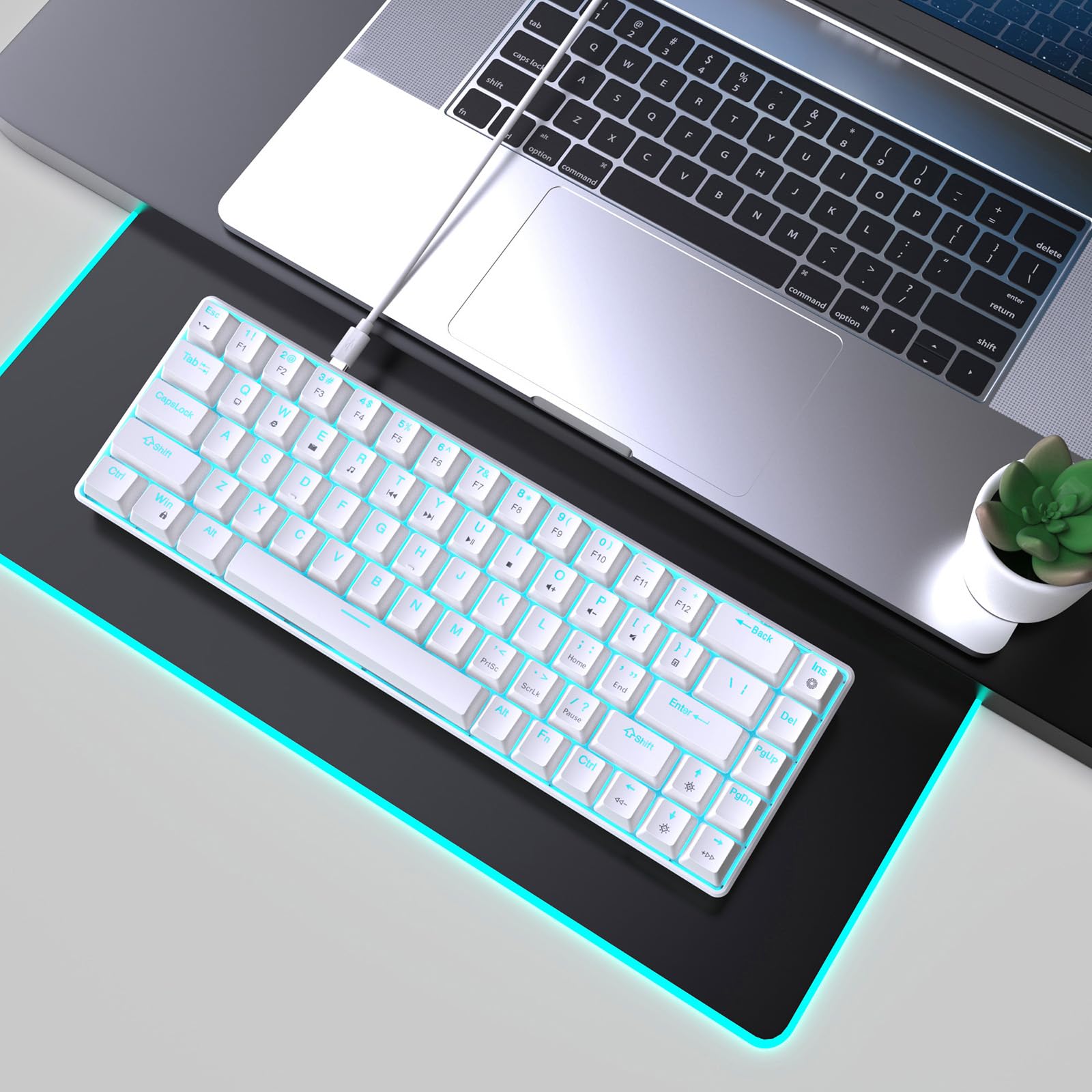 68Keys Tastiera Meccanica Double Shot Iniezioni con Opzione Backlits per PC Gamers USB C Piccola Tastiera da Gioco