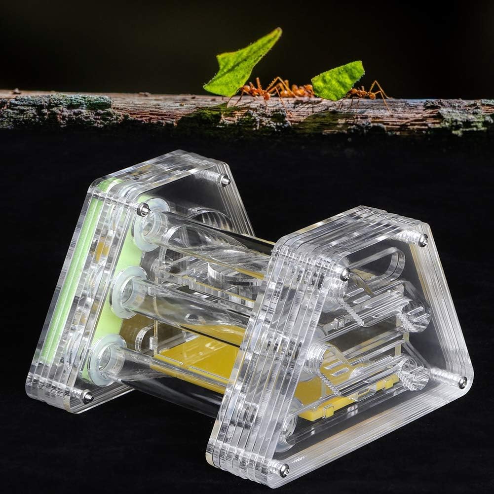 Acrylic Transparent Farm, Portable Hexapod with Moisturizing Function, Ideal for mini to Cultivate Scientific Interest, Includes Box, Tweezers and Dropper