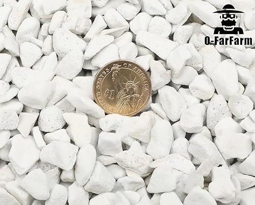 Miniatura 10 de Perlita gruesa a granel de 5 cuartos de galón, perlita hortícola gruesa para plantas de interior, mezcla de acondicionador aditivo, mejora el