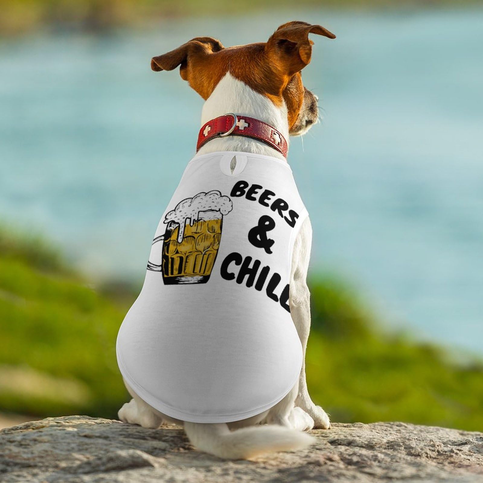 Amazon | ペット服 可愛い Beers & Chill おもしろい ビール好き
