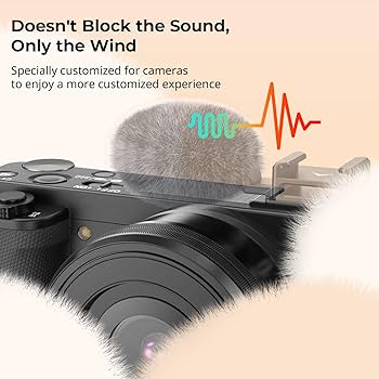 Amazon.com: SmallRig Cold Shoe Adapter with Wind Muff Windshield