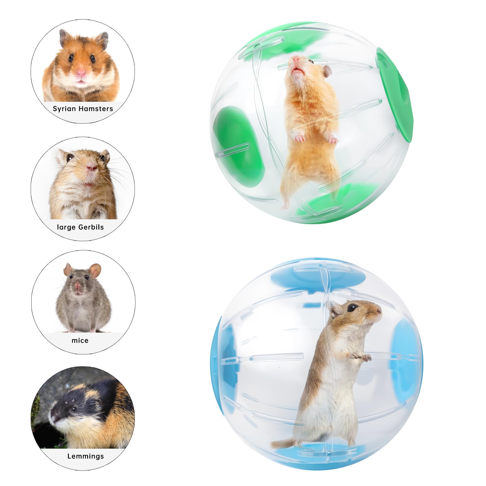 Hamster Exercise Ball, 7.9 Inch Syrian Hamster Ball, Transparent, Large Ball with Four entrances (Blue) - Image 4