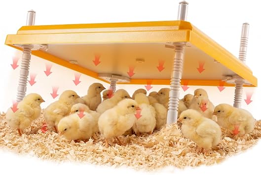 Riakrum Large Chick Brooder Heating Plate 16" x 16" Brooder Heater for 50 Chicks with Adjustable Height Poultry Heating Plate Constant Temperature 131F Safe Heat Lamp for Ducklings and Quail