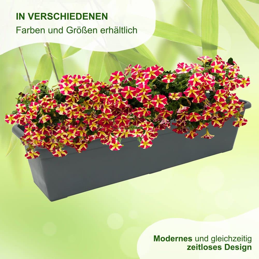 MePla Balkonkasten Balcony mit Wasserspeicher 40 cm anthrazit, wetterfestes Pflanzkasten aus UV-beständigem Kunststoff