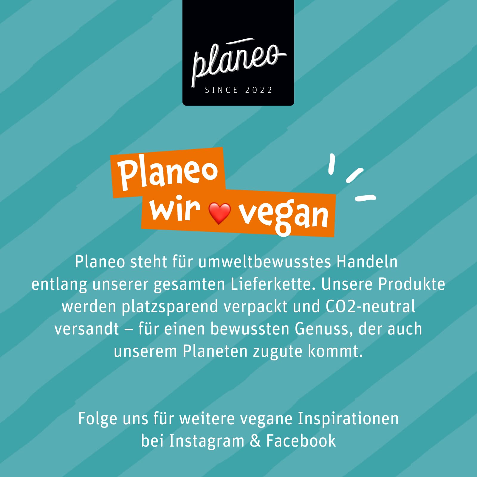 Planeo Tempeh Natur 6x200g - Beste Qualität - Lange, ungekühlt haltbar - Soja aus der EU - Planeo (6 x 200g)