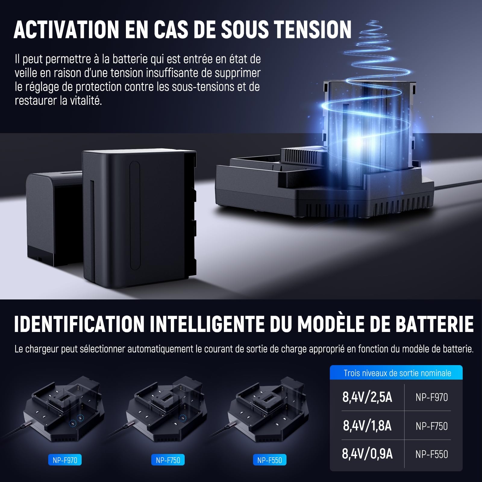 NEEWER NP-F970 Chargeur à 4 Canaux pour NP-F550 NP-F750 Caméscope Caméra Batterie, Chargeur de Batterie NPF à Charge Rapide PD 100W avec Écran OLED &100W Câble de Charge Rapide USB C à USB C, NW-F4