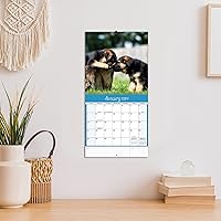 Vista 6 de Turner - Mini calendario fotográfico de pared de cachorros juguetones (24998950017)