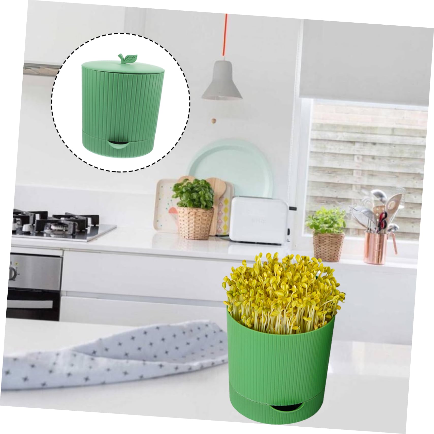 Cabilock Germoir pour Graines à Germer, Kit de Culture de Germes de Haricots en PP et Pierre, Réutilisable, Design D’évacuation D’Eau, pour Maison et Jardin | Vert, Sortie D’eau et Structure Respirante, pour Soja et Graines de Blé, Usage Porche et Jardin
