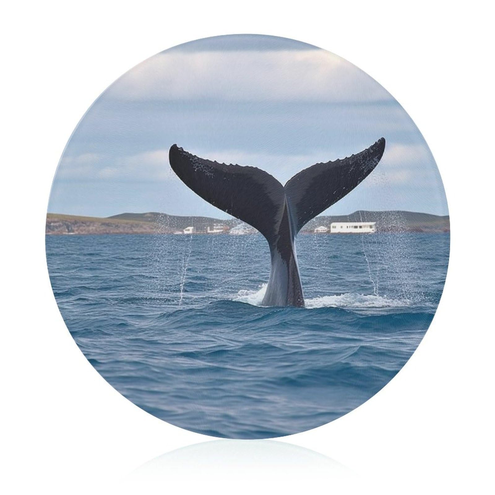 Grand bloc de boucher rond Whale Tail en verre trempé premium