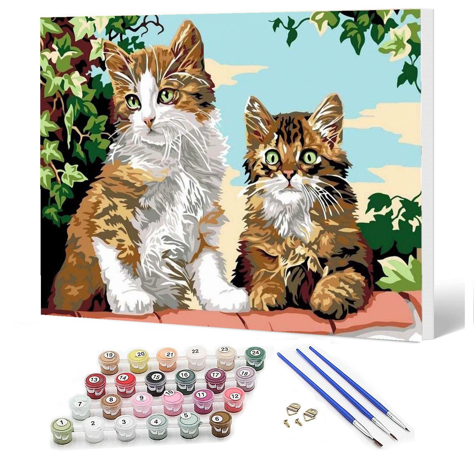 Ediximi DIY Paint by Number Kit for Adults,Childrens and Beginners - 12" x 16" Canvas with Wooden Frame Drawing Arts and Crafts,Two Little Kittens