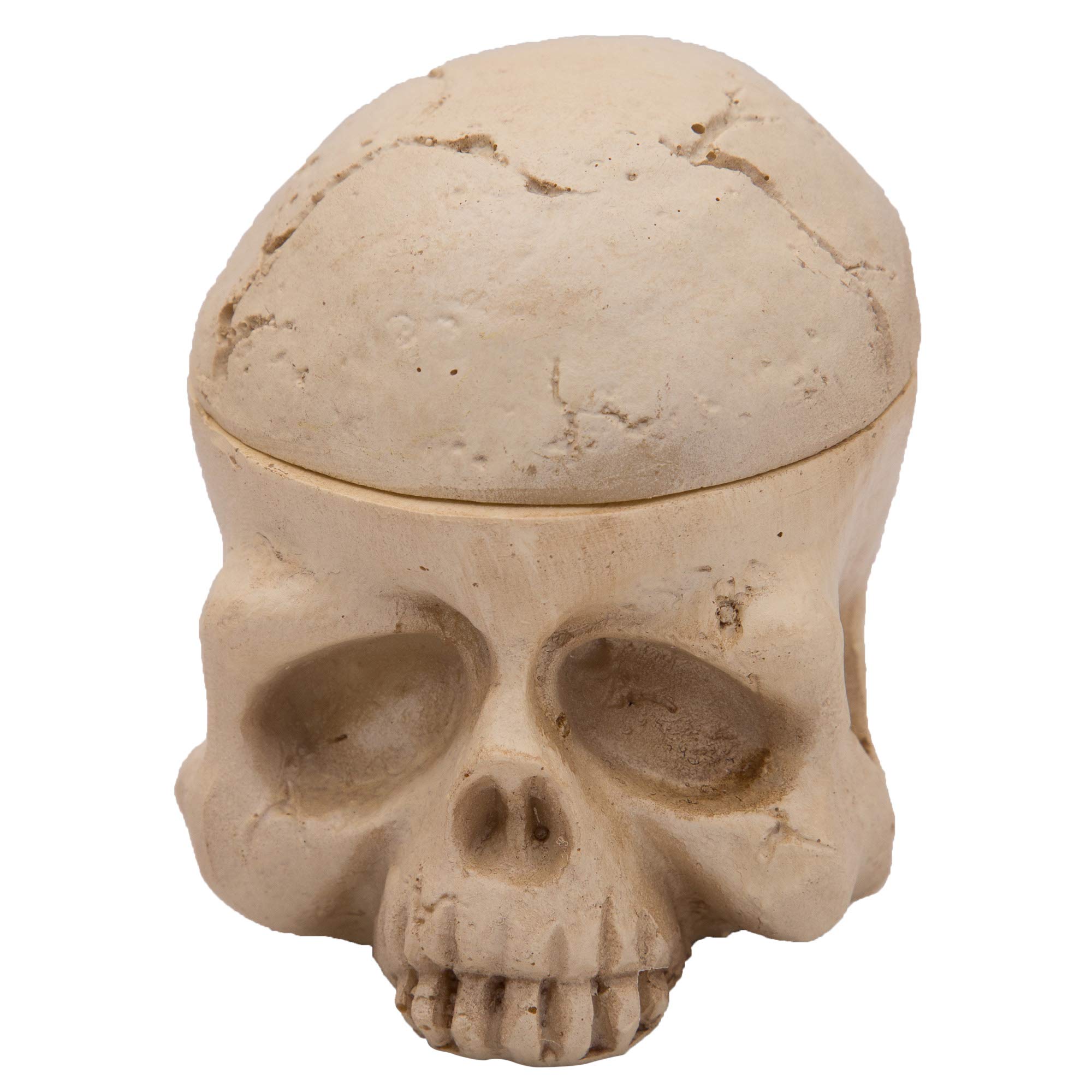 Ava Line Art Tattoo Ink Cup Holder in Classic Skull Shape