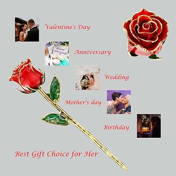 Valentines Day Gift Rose, Gold Dipped Real Rose is Attractive Luster and Natural Shape, Best Gifts for Anniversary Wedding Valentines Day (Red Original Rose with Stand)