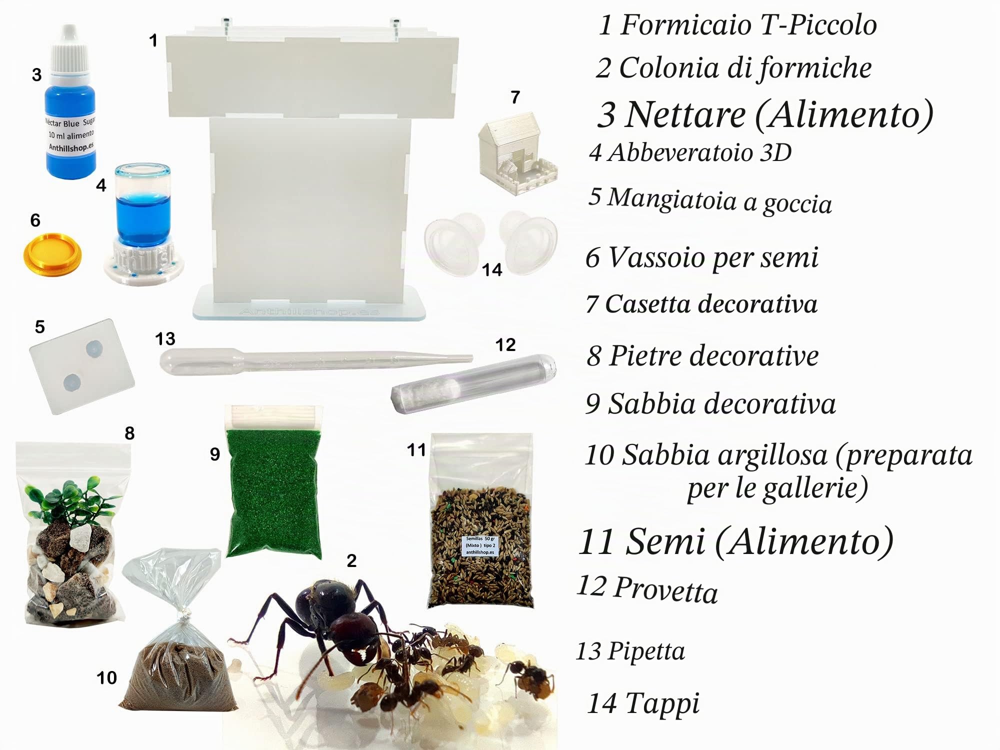 Formicaio T- Piccolo di Sabbia Naturale (acrilico) - con Formiche Incluse 20-30 Formiche.