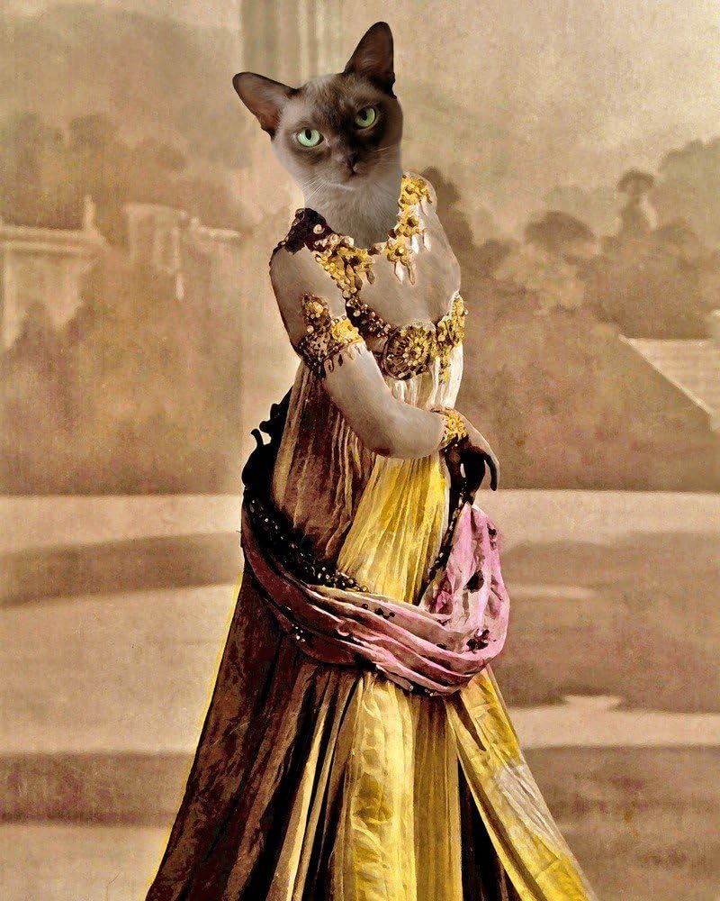 Mata Hari BELLYDANCER Kitty Cat altered anthro belly dancer Victorian Siamese art print