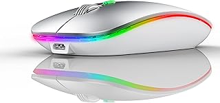 LED Wireless Mouse, Rechargeable Wireless Mouse for MacBook Air/Pro (Bluetooth 5.1 + USB) 2.4GHz Portable Optical Silent Office Mouse for iPad, Laptop, Desktop, Mac, Pc, Computer (Silver)