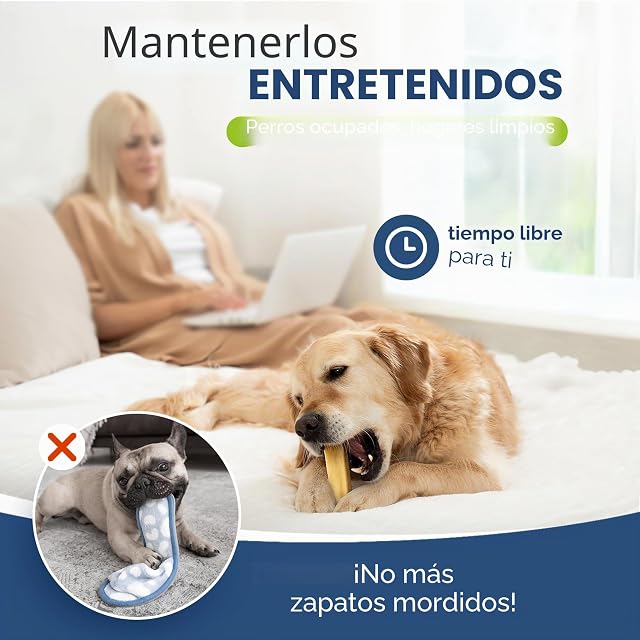 Foto 7 de 8 de Snacks para Perros CHEWSTER - Huesos de Queso masticables
